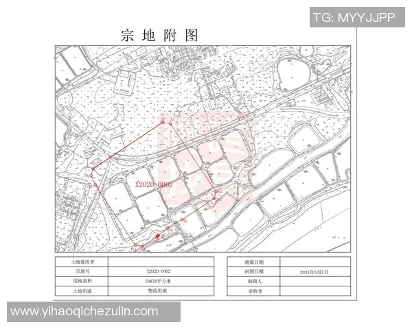 程帅澎：从普通青年到行业领军人物的奋斗历程与成功秘诀解析